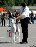 Vantaa 3.9.2005, Greyhounds