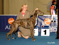 EuW-06 Greyhounds
