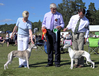 15.8.2015 Kotka Int dog show