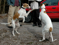 Greyhounds 10.4.2005