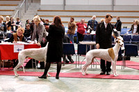 Lahti Int 28.10.07 Greyhounds