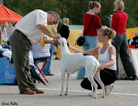 Vantaa 3.9.2005, Greyhounds
