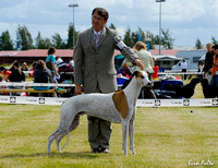 Greyhounds Pori Int 29.7.2007