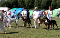 Finnish Greyhound Club Specialty 2003