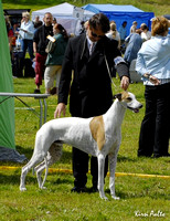 Greyhounds Vantaa 28.7.2007