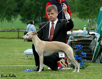 PU-luokka / Best dog competition